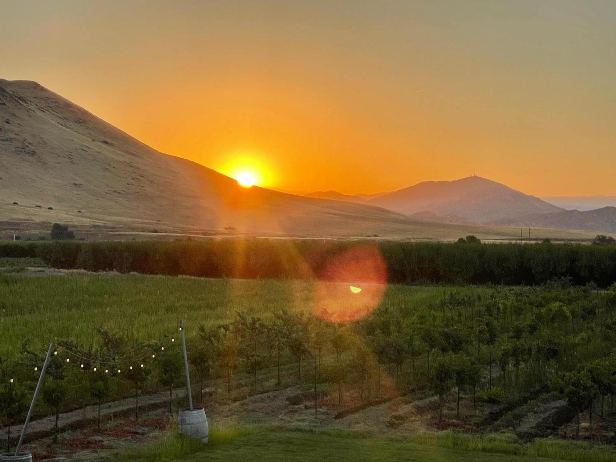 Bed and Breakfast Sequoia View Vineyard Sanger Экстерьер фото
